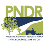 logo4